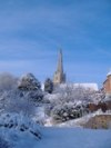 View from the garden to the church