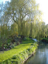 View up the mill race